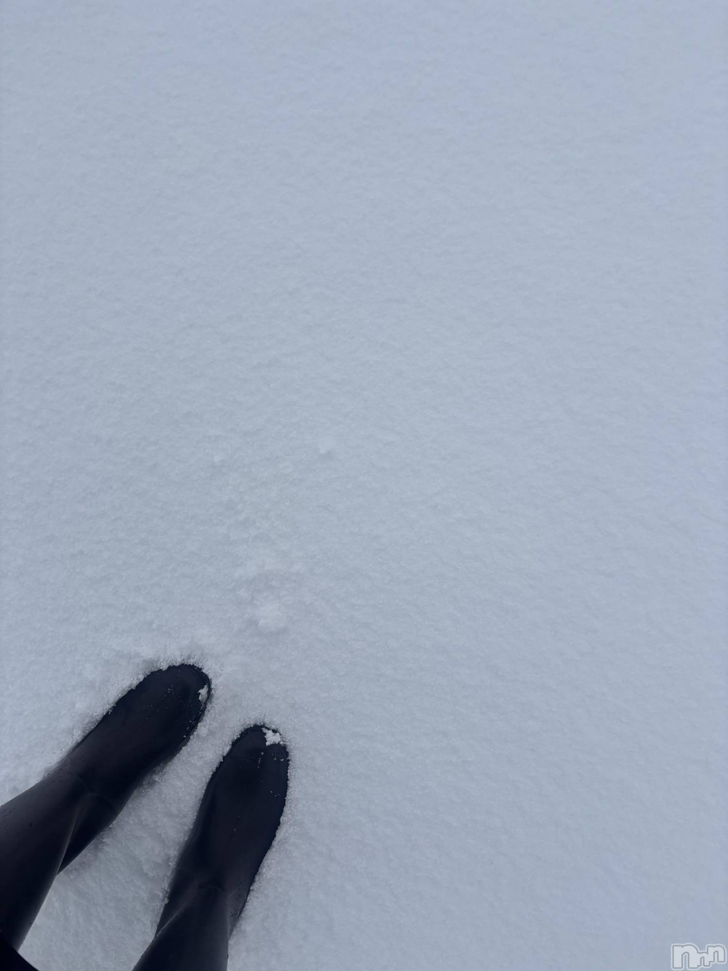 長岡デリヘル長岡人妻市(ナガオカヒトヅマイチ)めい★プルプルの唇&ロリ顔(31)の2026年1月24日写メブログ「🌨️」