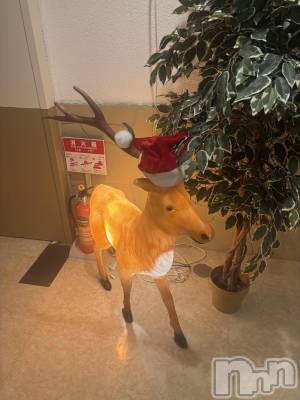 長岡デリヘル 長岡人妻市(ナガオカヒトヅマイチ) めい★プルプルの唇&ロリ顔(31)の11月29日写メブログ「お腹が光っててかわいい」