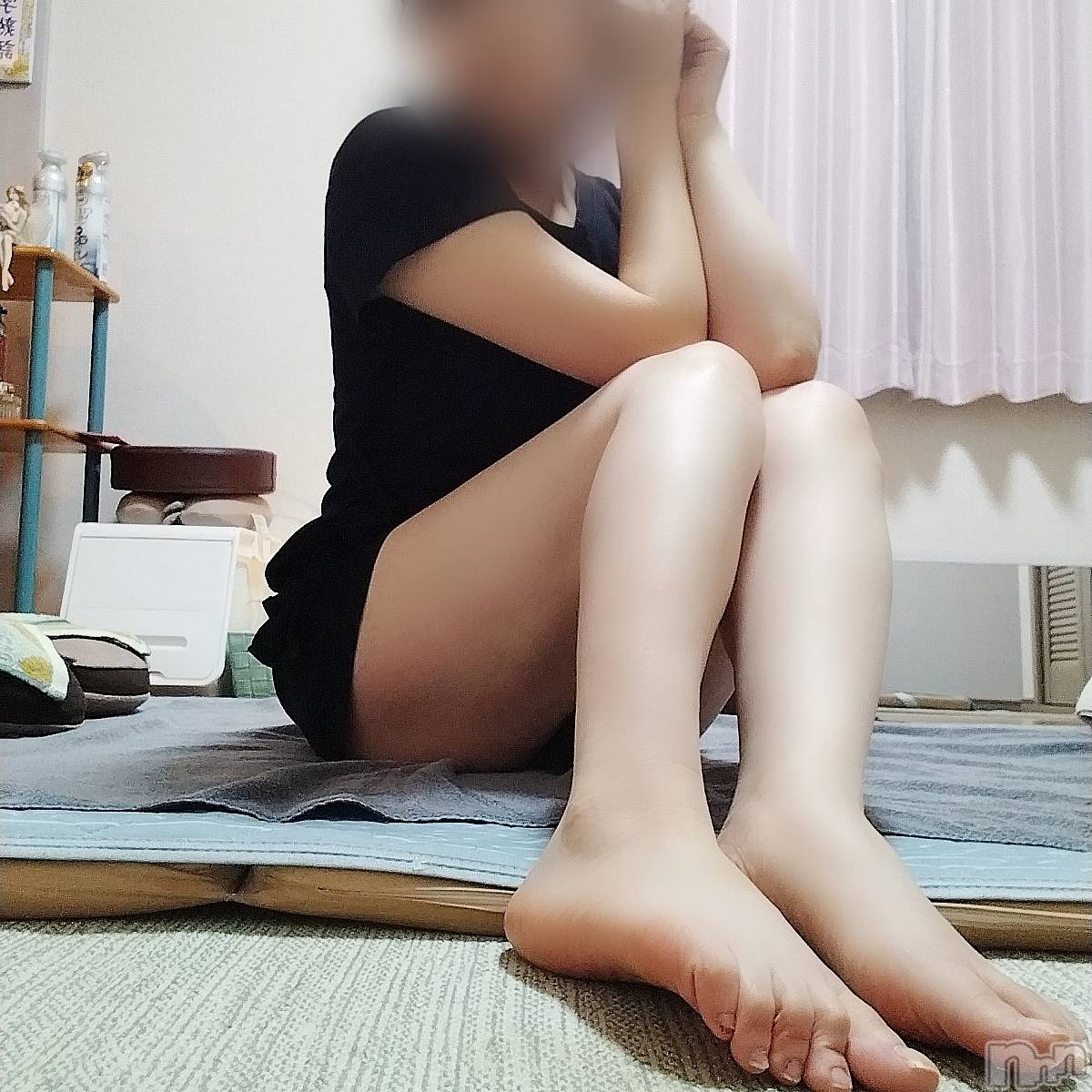 㡦ȯĥꥢ󥺥Ʋ֡(ϥʥϥ) 2024ǯ214̥֥֤ݤݤ