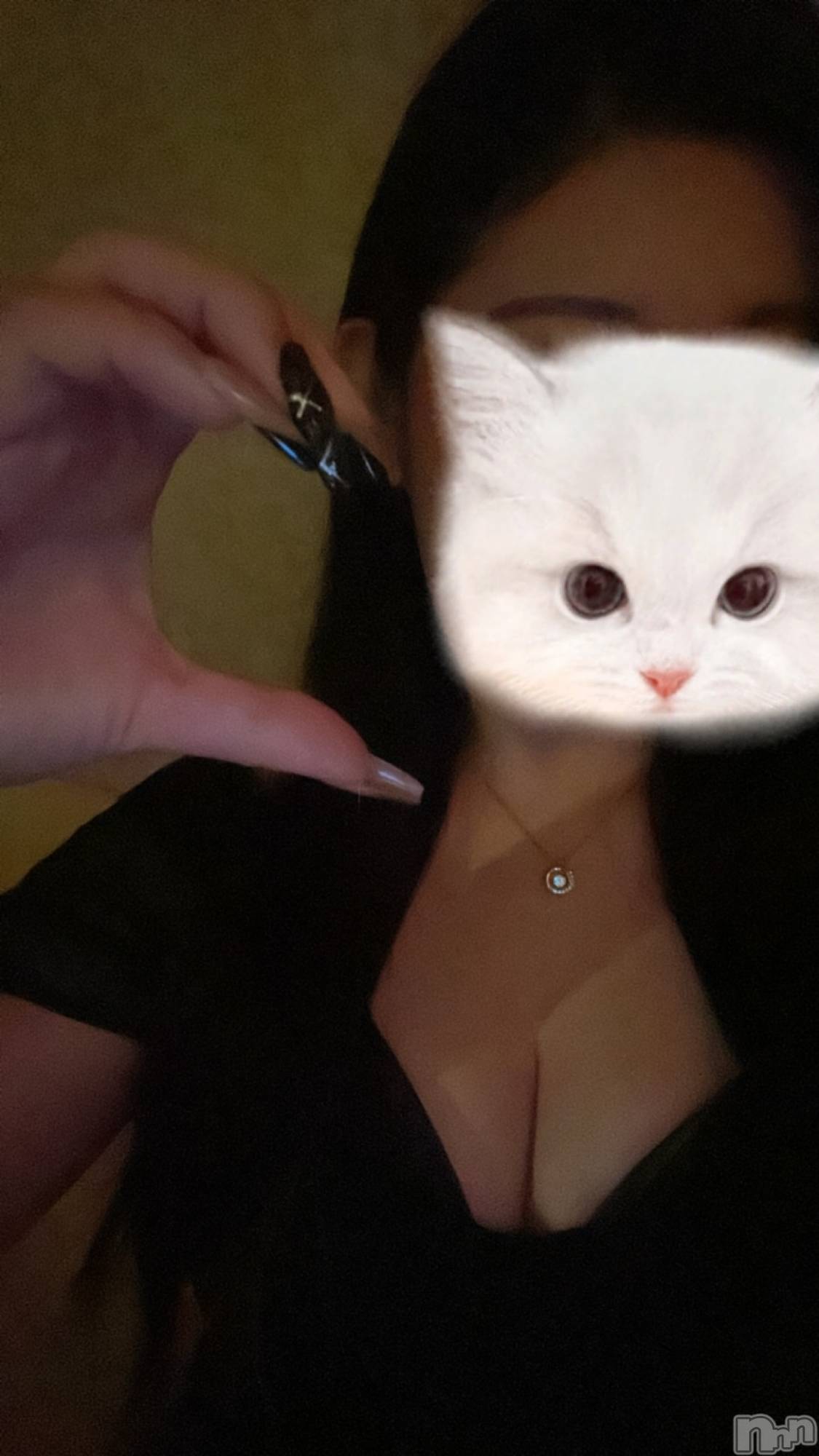 ȯѥ˥󥯥ֿ㥳(˥) 2025ǯ17̥֥֥쥢餤ޤ🤍