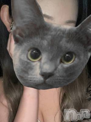ȯѥ˥󥯥 㥳(˥) ߤŪͤβ(1)