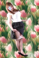 新潟デリヘル熟女の風俗 最終章(ジュクジョノフウゾクサイシュウショウ) せりな(43)の12月11日写メブログ「待機に戻りました(^-^)」