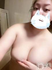 新潟デリヘル熟女の風俗 最終章(ジュクジョノフウゾクサイシュウショウ) せりな(43)の12月14日写メブログ「せりなは、12時頃から空きです(^-^)」