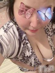 新潟デリヘル熟女の風俗 最終章(ジュクジョノフウゾクサイシュウショウ) せりな(43)の12月15日写メブログ「12時から空いています(^-^)」