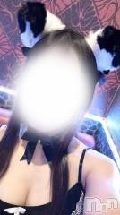 新潟おっパブPRESTIGE VIP(プレステージ　ビップ) 若宮ひびきの10月30日写メブログ「コスプレ🐱🎀」