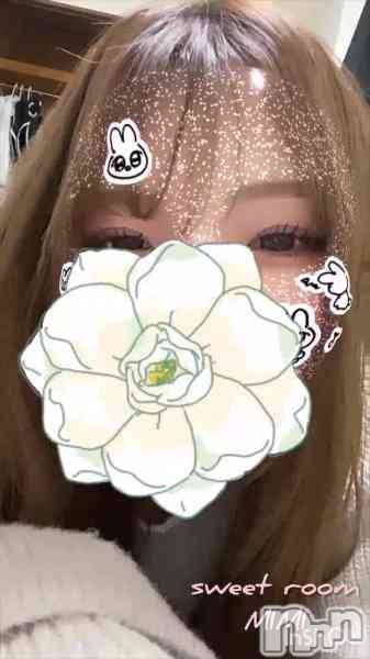 新潟メンズエステ(メンズスパカミノテ)の2024年3月15日お店速報「✨超大人気‼︎みみちゃんの紹介です✨」