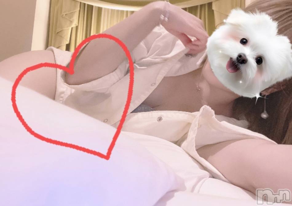 新潟メンズエステ(メンズスパカミノテ)の2024年4月14日お店速報「✨超大人気‼︎みみちゃんの紹介です✨」