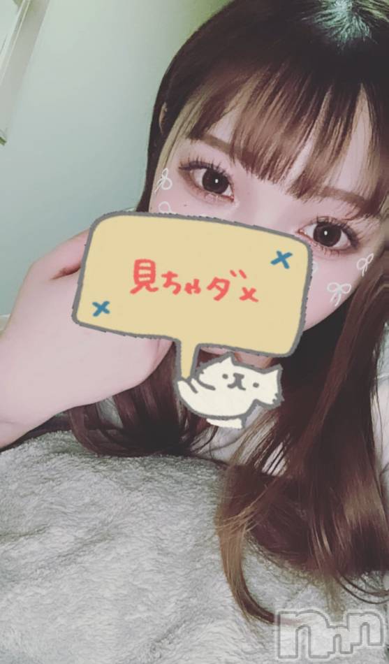 新潟メンズエステ(メンズスパカミノテ)の2024年4月23日お店速報「✨超大人気‼︎みみちゃんの紹介です✨」