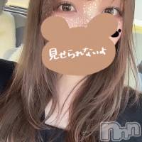 新潟メンズエステ Men's Spa 神の手(メンズスパカミノテ)の4月1日お店速報「✨超大人気‼︎みみちゃんの紹介です✨」