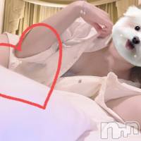 新潟メンズエステ Men's Spa 神の手(メンズスパカミノテ)の4月14日お店速報「✨超大人気‼︎みみちゃんの紹介です✨」