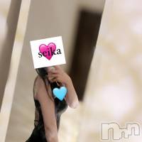 新潟メンズエステ Men's Spa 神の手(メンズスパカミノテ)の11月2日お店速報「⭐︎せいかちゃん初出勤⭐︎」