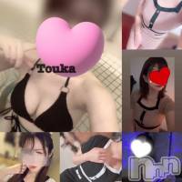 新潟メンズエステ Men's Spa 神の手(メンズスパカミノテ)の1月20日お店速報「🌟1月20日のセラピストはこちら🌟」