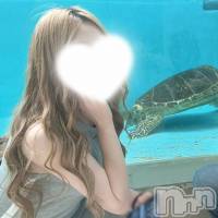 新潟メンズエステ Men's Spa 神の手(メンズスパカミノテ)の6月21日お店速報「🤩ちょっとSっけあるバチくそ決めてる可愛いお姉さん🤩」