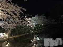 新潟メンズエステMen's Spa 神の手(メンズスパカミノテ) 天使じゅり(24)の4月13日写メブログ「ぽかぽか」