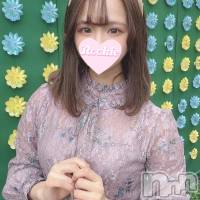 みほ