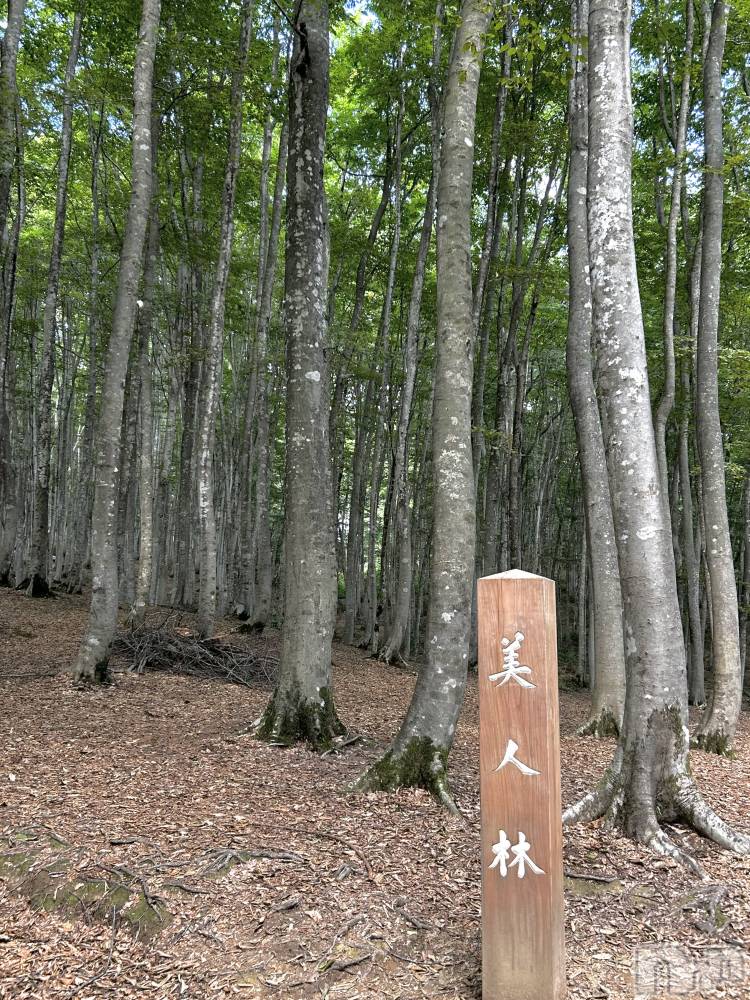 �������������Х��顦�����CLUB Reve-�졼��-(����֥졼��) �ޥߤ�4��24���̥�֥����֥ޥ��ʥ�������򴶤�����🙂��