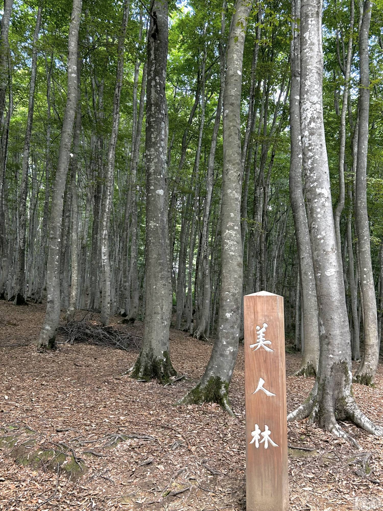 �������������Х��顦�����CLUB Reve-�졼��-(����֥졼��) ��2026ǯ4��24���̥�֥����֥ޥ��ʥ�������򴶤�����🙂��