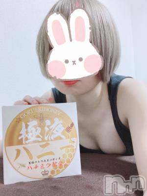 ˤ󥺥ơMENS SPA Lynx(󥺥 󥯥)פΥ㥹ȡꤻפξҲ