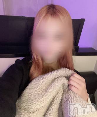 ʥå륺СLE SOLEIL( 쥤) (21)1117̥֥֤Ϥޤơ