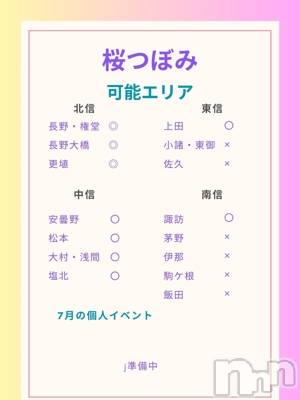 【Ｓ】桜つぼみ