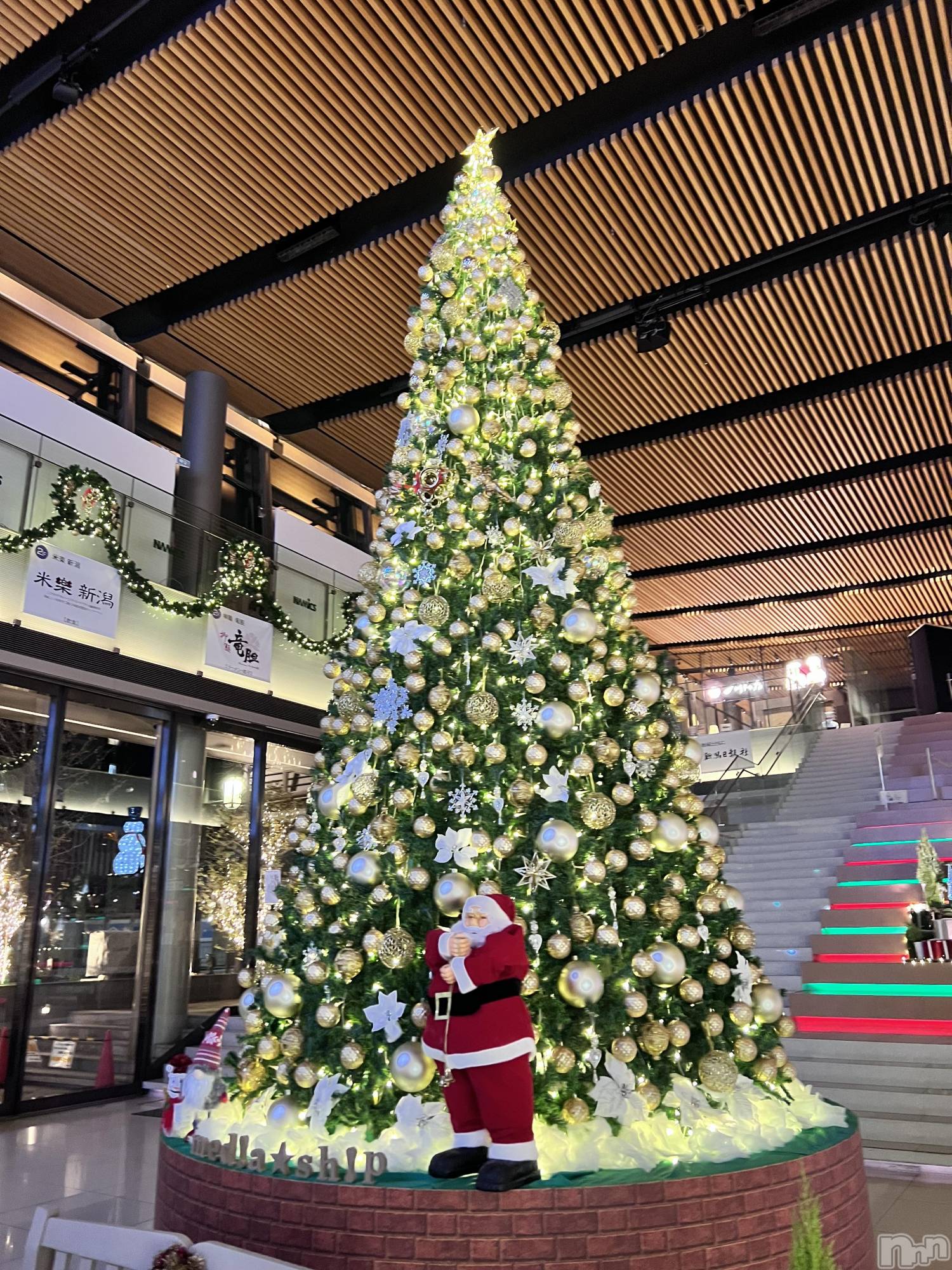 ʥå륺СCHUNLUU(롼) 2023ǯ1129̥֥🎄.*