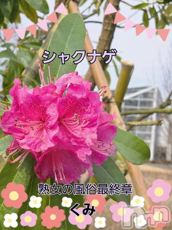 新潟人妻デリヘル熟女の風俗 最終章(ジュクジョノフウゾクサイシュウショウ) くみ(45)の3月21日写メブログ「おはようさん」