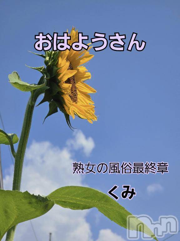 新潟人妻デリヘル熟女の風俗 最終章(ジュクジョノフウゾクサイシュウショウ) くみ(45)の8月16日写メブログ「おはようさん」