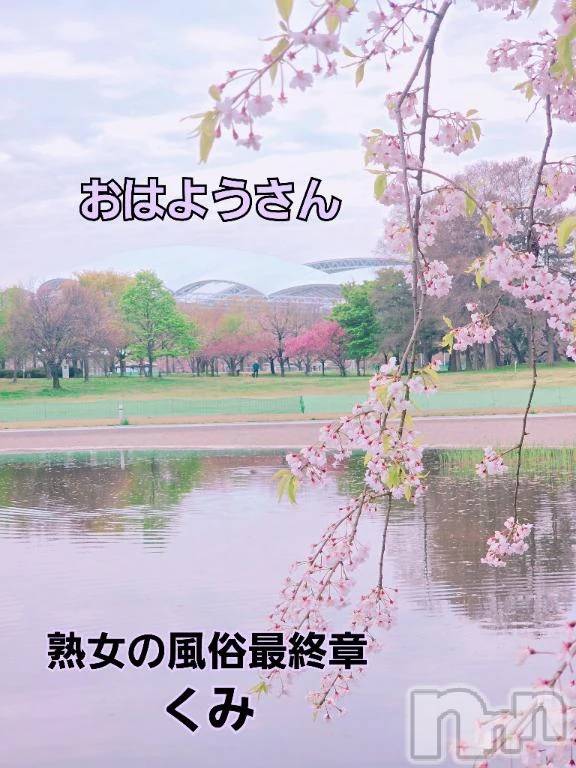 新潟デリヘル熟女の風俗 最終章(ジュクジョノフウゾクサイシュウショウ) くみ(45)の4月16日写メブログ「しだれ桜が綺麗」