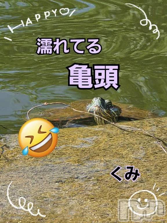 新潟デリヘル熟女の風俗 最終章(ジュクジョノフウゾクサイシュウショウ) くみ(45)の7月20日写メブログ「濡れた　亀頭💦」