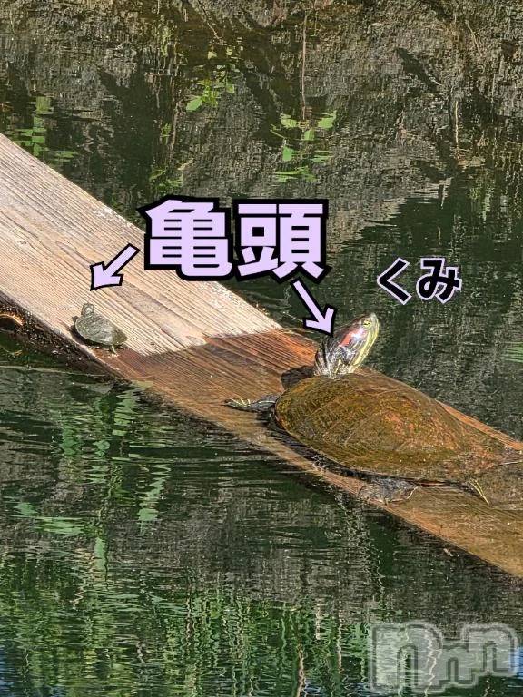 新潟デリヘル熟女の風俗 最終章(ジュクジョノフウゾクサイシュウショウ)くみ(45)の2026年7月15日写メブログ「亀頭」