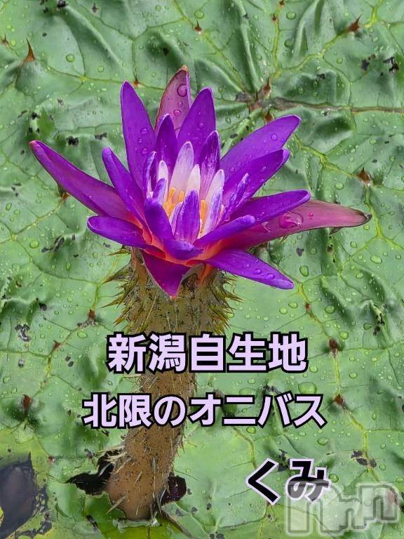 新潟デリヘル熟女の風俗 最終章(ジュクジョノフウゾクサイシュウショウ)くみ(45)の2026年8月19日写メブログ「新潟が北自生地」