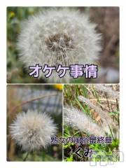 新潟人妻デリヘル熟女の風俗 最終章(ジュクジョノフウゾクサイシュウショウ) くみ(45)の6月13日写メブログ「オケケ事情」