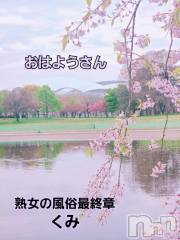 新潟デリヘル熟女の風俗 最終章(ジュクジョノフウゾクサイシュウショウ) くみ(45)の4月16日写メブログ「しだれ桜が綺麗」