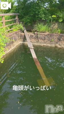 新潟人妻デリヘル 熟女の風俗 最終章(ジュクジョノフウゾクサイシュウショウ) くみ(45)の6月10日写メブログ「大中小の亀頭」
