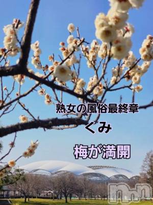 新潟デリヘル 熟女の風俗 最終章(ジュクジョノフウゾクサイシュウショウ) くみ(45)の3月22日写メブログ「梅が満開」