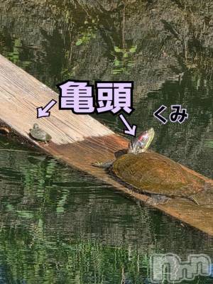 新潟デリヘル 熟女の風俗 最終章(ジュクジョノフウゾクサイシュウショウ) くみ(45)の7月15日写メブログ「亀頭」