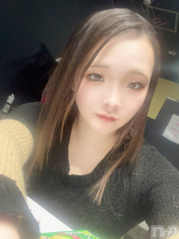 ܱХ顦֥ ץ ( ץ ޥĥ)  Τ213̥֥213 2121ʬΥ֥