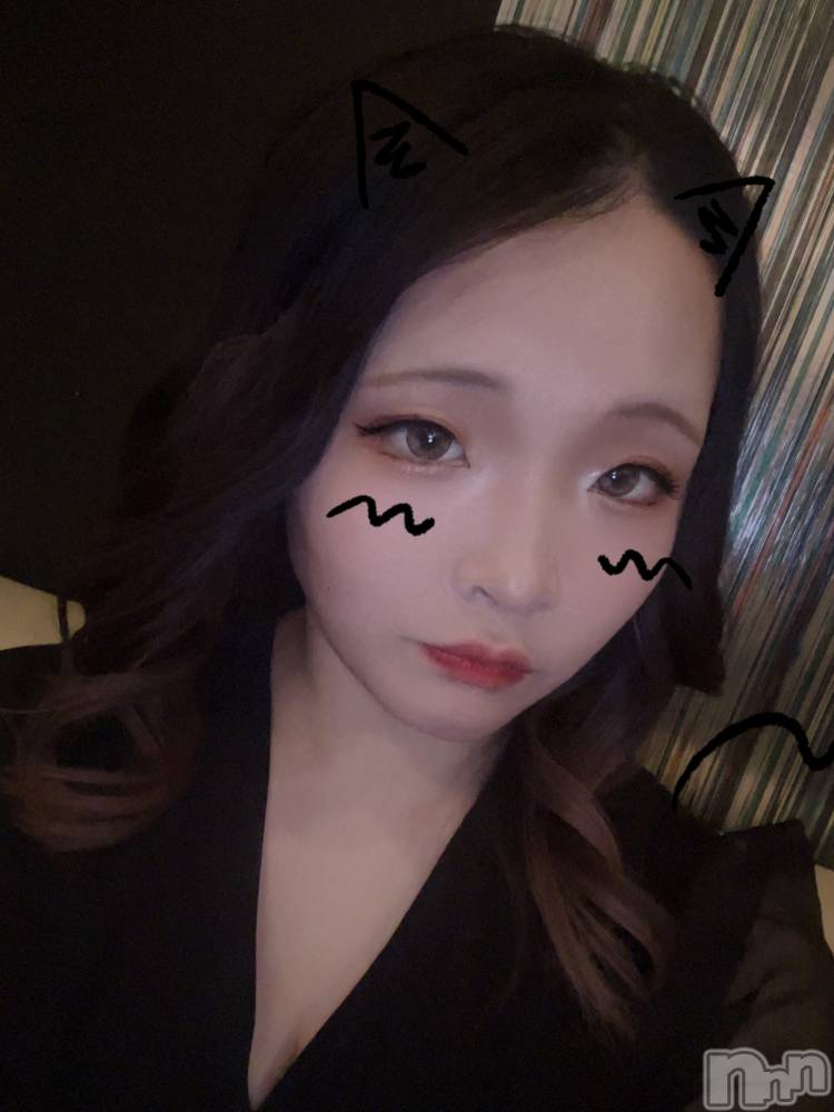 ܱХ顦֥ ץ ( ץ ޥĥ)  Τ219̥֥219 2036ʬΥ֥