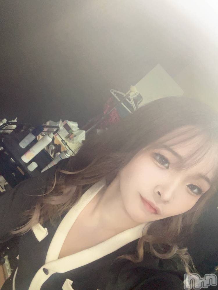 ܱХ顦֥ ץ ( ץ ޥĥ)  Τ1117̥֥1117 2123ʬΥ֥