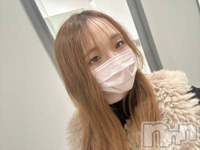 ܱХ顦֥ ץ ( ץ ޥĥ)  Τ(24)121̥֥121 2244ʬΥ֥