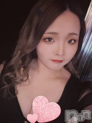 ܱХ顦֥ ץ ( ץ ޥĥ)  Τ(24)42̥֥42 2123ʬΥ֥