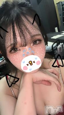 ܱХ顦֥ ץ ( ץ ޥĥ)  Τ(24)1119̥֥1119 2136ʬΥ֥
