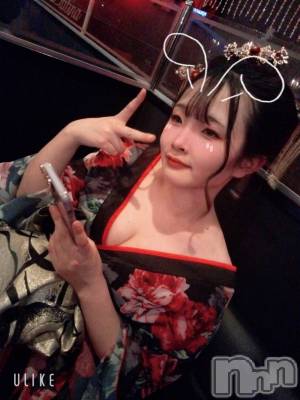 ܱХ顦֥ ץ ( ץ ޥĥ)  Τ(24)1217̥֥1217 2136ʬΥ֥