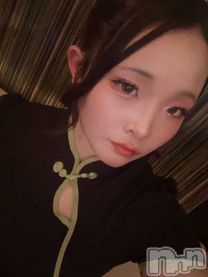 ܱХ顦֥ ץ ( ץ ޥĥ)  Τ(24)218̥֥218 1949ʬΥ֥