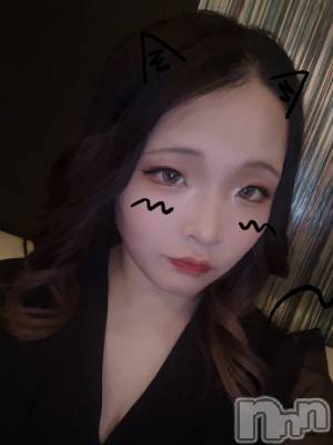 ܱХ顦֥ ץ ( ץ ޥĥ)  Τ(24)222̥֥222 2144ʬΥ֥