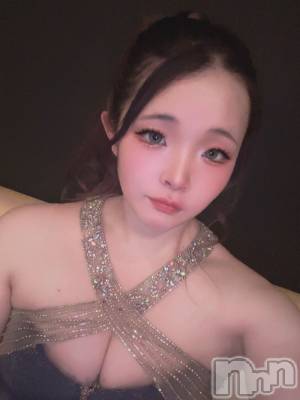 ܱХ顦֥ ץ ( ץ ޥĥ)  Τ(24)225̥֥225 2058ʬΥ֥