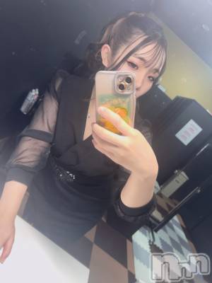 ܱХ顦֥ ץ ( ץ ޥĥ)  Τ(24)513̥֥513 2117ʬΥ֥