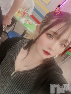 ܱХ顦֥ ץ ( ץ ޥĥ)  Τ(24)715̥֥715 2124ʬΥ֥