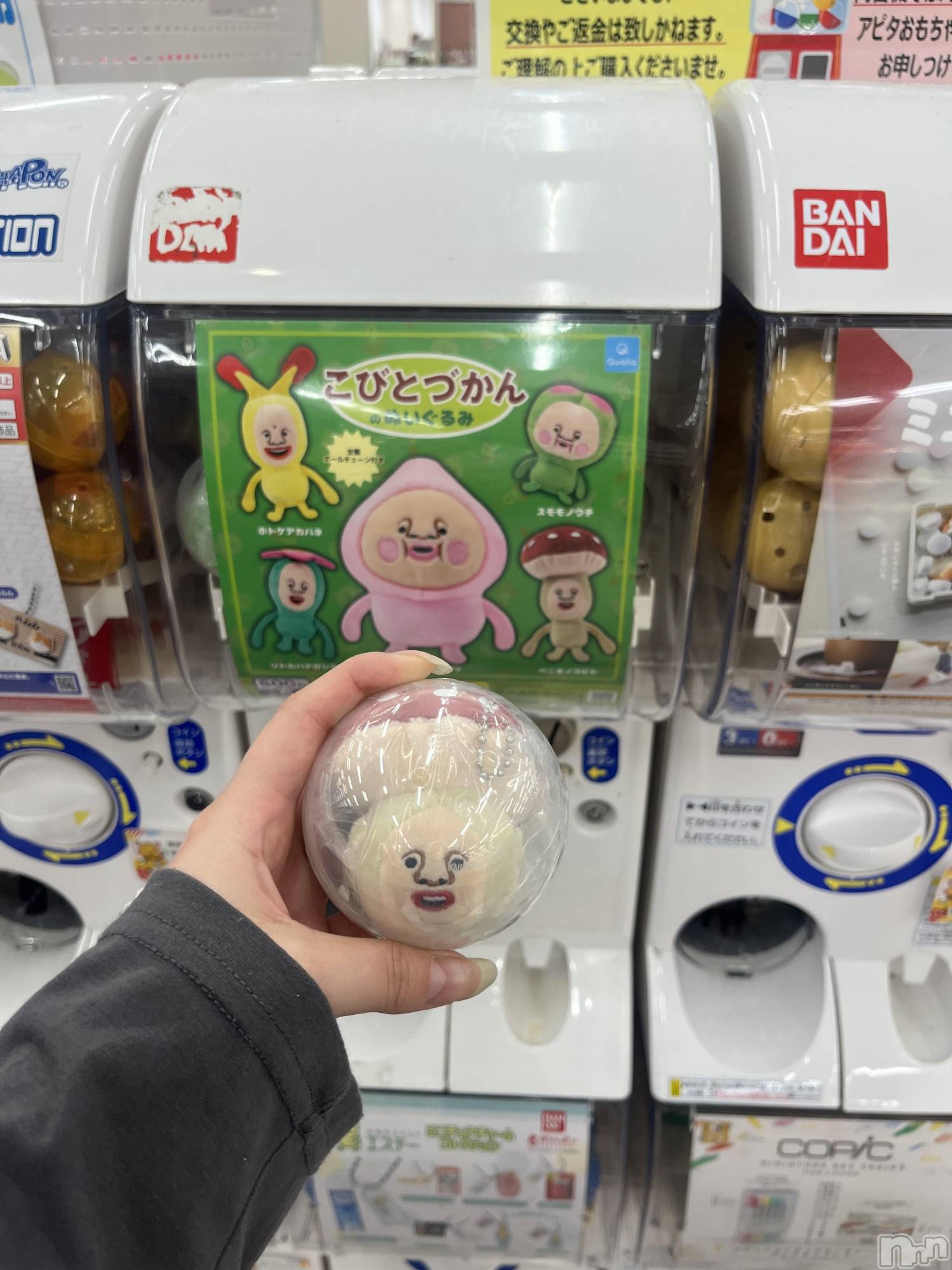 ʥå륺С륺åޤʤߤ(륺åޥʥߥ) 2025ǯ531̥֥֤Ӥȿ޴❣️