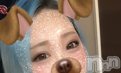 ȯѥ˥󥯥֥ѥ˥LA.JEUNESSE(ѥ˥饸ͥ) ܥɤ1127ֽ̥֥